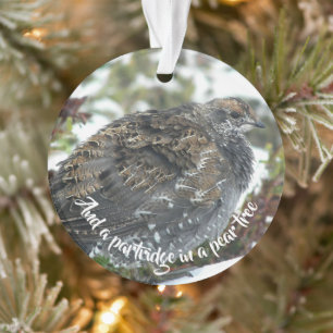 Blue Grouse in Snow Photo Holiday Ornament