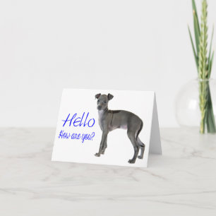 Blue Hallo Greyhound Puppy Dog Kaart