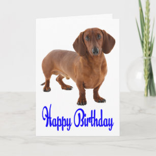 Blue Happy Birthday Dachshund Puppy Dog Card Kaart
