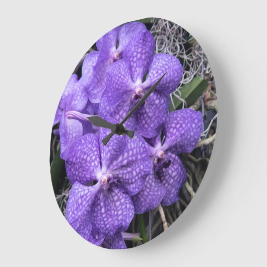 Blue Hawaiian Orchids Grote Klok (Hoek)