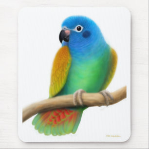 Blue Headed Pionus Parrot Mousepad Muismat