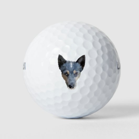 Blue Heeler / Australian Cattle Dog Golfballen (Voorkant)