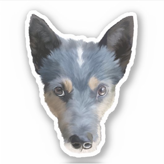 Blue Heeler / Australian Cattle Dog Sticker (Voorkant)