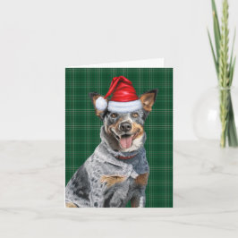 Blue Heeler Christmas Dog Green Plaid Kerstmis Feestdagen Kaart