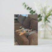 Blue Heeler die op papa wacht om thuis te komen Briefkaart (Staand voorkant)