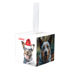 Blue Heeler Dog Twee Foto Kerstvakantie Decoratie