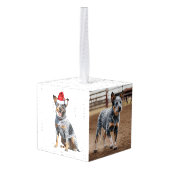 Blue Heeler Dog Twee Foto Kerstvakantie Decoratie (Achter hoekig)