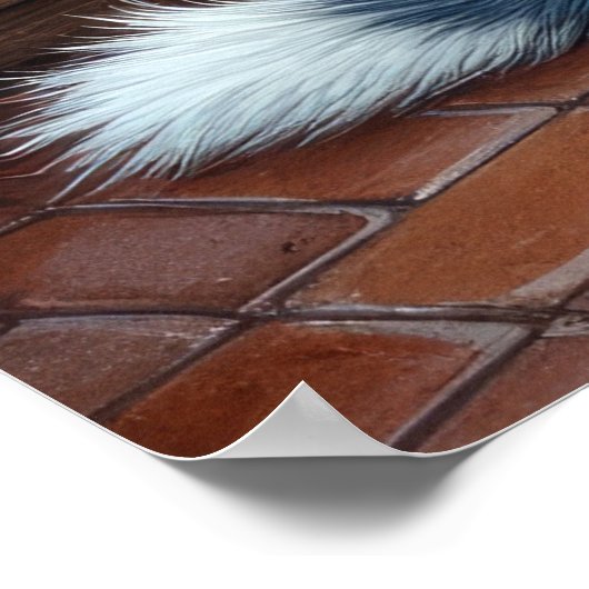 Blue Heeler Fireplace with Christmas Lights Poster (Hoek)