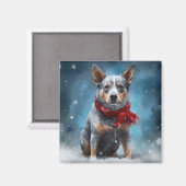 Blue Heeler-hond in sneeuw Kerstmis Magneet (Voorkant / Achterkant)
