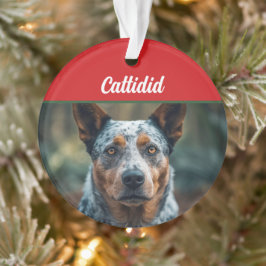Blue Heeler Hond Vakantie Foto Kerstmis Ornament