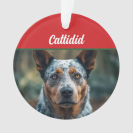 Blue Heeler Hond Vakantie Foto Kerstmis Ornament