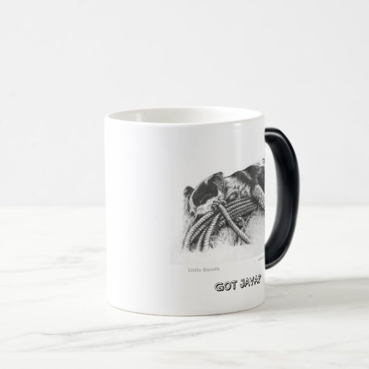 Blue Heeler mok "heeft java?" (Voorkant rechts)