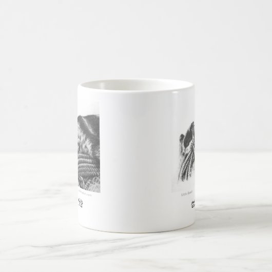 Blue Heeler mok "heeft java?" (Center)