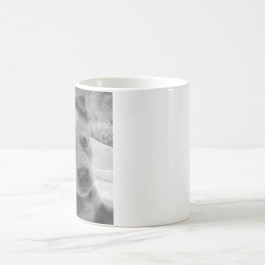 BLUE HEELER-MOK KOFFIEMOK (Center)