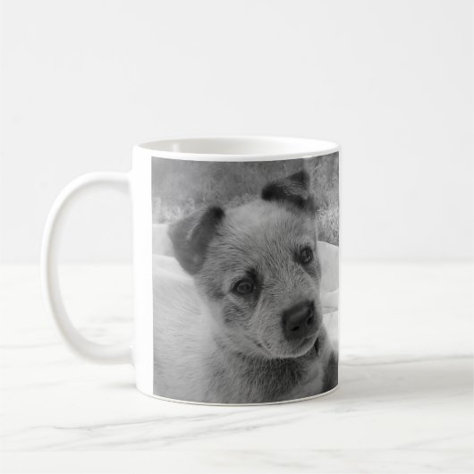 BLUE HEELER-MOK KOFFIEMOK (Links)