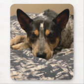 Blue Heeler Muismat (Voorkant)