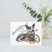 Blue Heeler Unconditional Love Briefkaart (Staand voorkant)