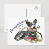 Blue Heeler Unconditional Love Briefkaart (Voorkant / Achterkant)