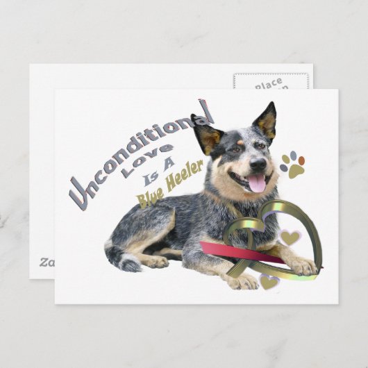 Blue Heeler Unconditional Love Briefkaart (Voorkant / Achterkant)