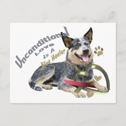 Blue Heeler Unconditional Love Briefkaart (Voorkant)