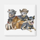 Blue Heeler's Go Westerne magneten (Voorkant)