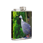 Blue Helmeted Guinee Fowl in de zon Heupfles (Rechts)