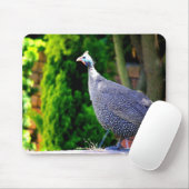 Blue Helmeted Guinee Fowl in de zon Muismat (Met muis)