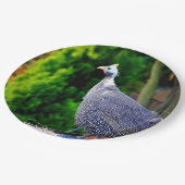 Blue Helmeted Guinee Fowl in de zon Papieren Bordje (Gekanteld)