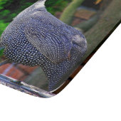 Blue Helmeted Guinee Fowl in de zon Snijplank (Hoek)