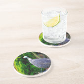 Blue Helmeted Guinee Fowl in de zon Zandsteen Onderzetter (Zijkant)