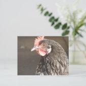 Blue Hen Briefkaart (Staand voorkant)