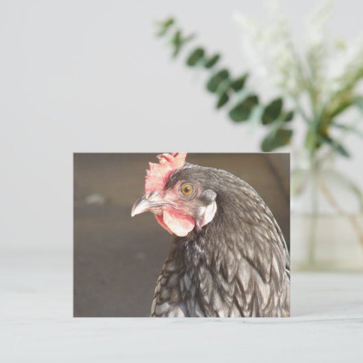 Blue Hen Briefkaart (Staand voorkant)