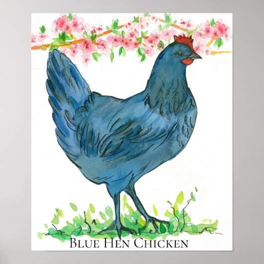 Blue Hen Chicken State Bird of Delaware Poster (Voorkant)
