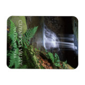 Blue Hen Falls, Cuyahoga National Park, Ohio Magneet (Horizontaal)