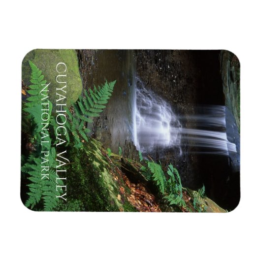 Blue Hen Falls, Cuyahoga National Park, Ohio Magneet (Horizontaal)