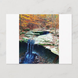 Blue Hen Herfsten Cuyahoga Nationaal Park Ohio Briefkaart