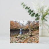 Blue Hen Herfsten, Cuyahoga Valley National Park, Briefkaart (Staand voorkant)