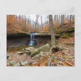 Blue Hen Herfsten, Cuyahoga Valley National Park, Briefkaart