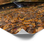 Blue Hen Herfsten, Cuyahoga Valley National Park,  Poster (Hoek)