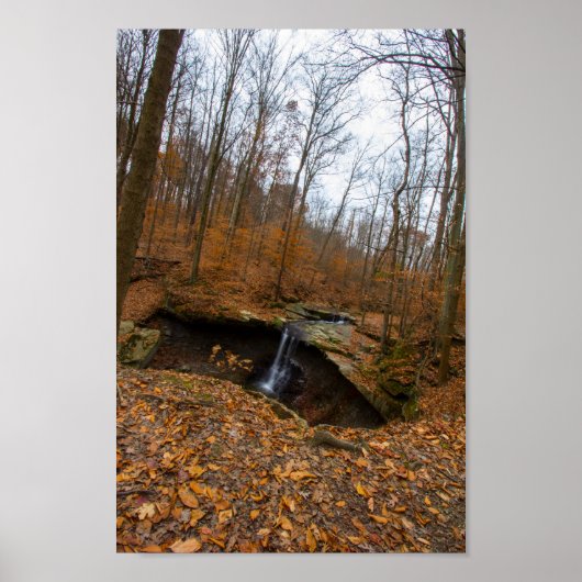 Blue Hen Herfsten, Cuyahoga Valley National Park,  Poster (Voorkant)