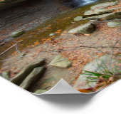 Blue Hen Herfsten, Cuyahoga Valley National Park,  Poster (Hoek)