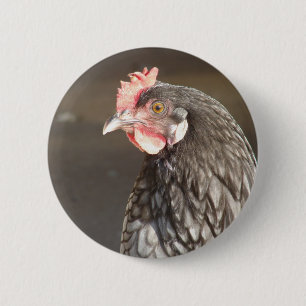 Blue Hen Ronde Button 5,7 Cm