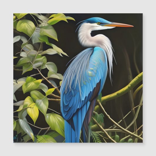 Blue Heron (Voorkant)