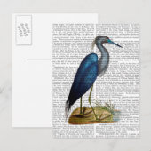 Blue Heron 3 2 Briefkaart (Voorkant / Achterkant)