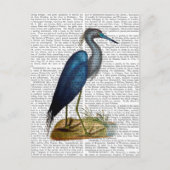 Blue Heron 3 2 Briefkaart (Voorkant)