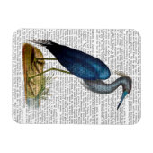 Blue Heron 3 2 Magneet (Horizontaal)