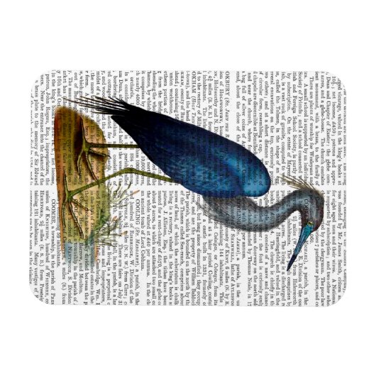 Blue Heron 3 2 Magneet (Horizontaal)