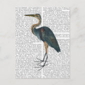 Blue Heron 3 Briefkaart (Voorkant)