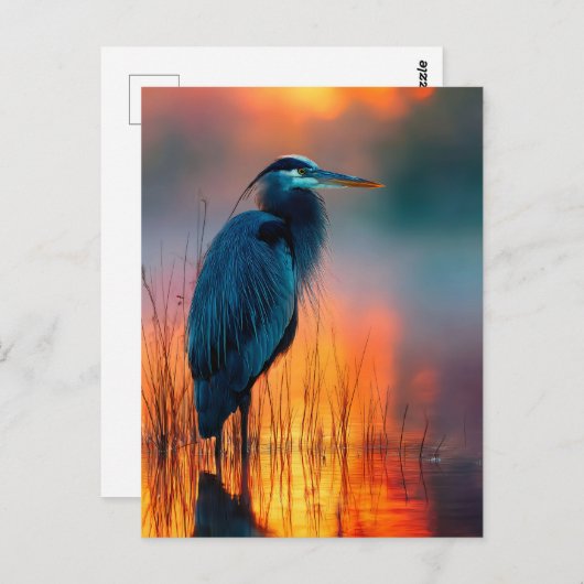 Blue Heron bij zonsopgang Briefkaart (Voorkant / Achterkant)