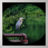 Blue Heron Bird Posing Natuur Orton Art Poster (Voorkant)